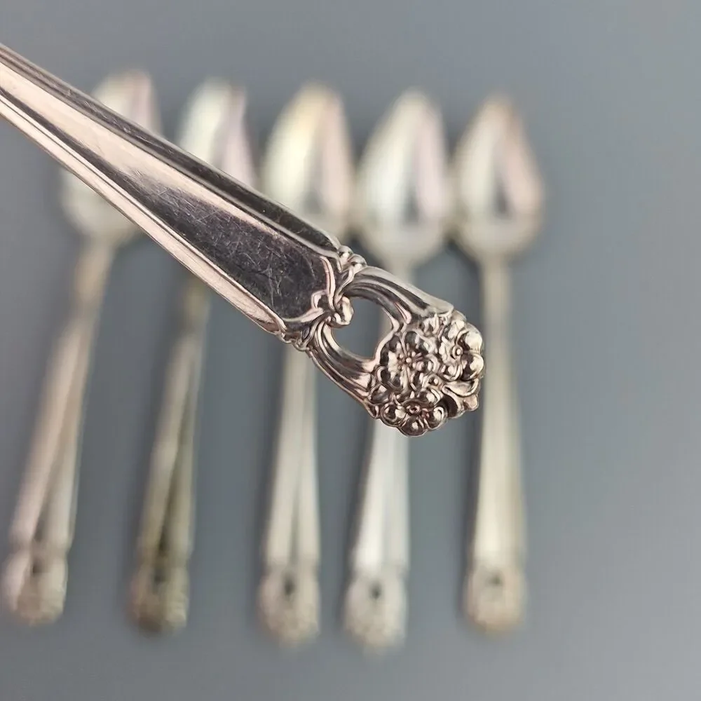 6  Vintage 1847 Rogers Bros IS Silverware Eternally Yours Flatware 6 inch Spoon